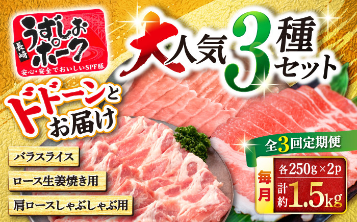 
            【3回定期便】長崎うずしおポーク 大人気3種 セット 訳あり 国産豚  ＜スーパーウエスト＞ [CAG219]
          