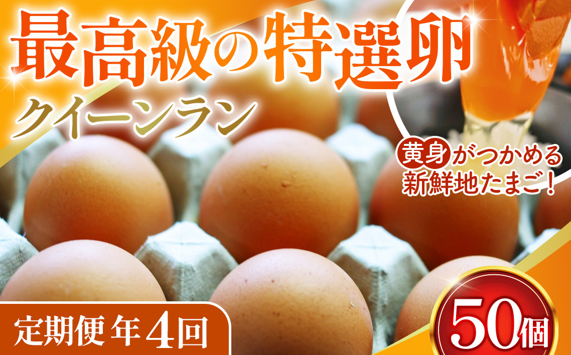 
            黄身がつかめる新鮮地たまごクイーンラン 赤玉50個入《定期便年4回》 No.213
          