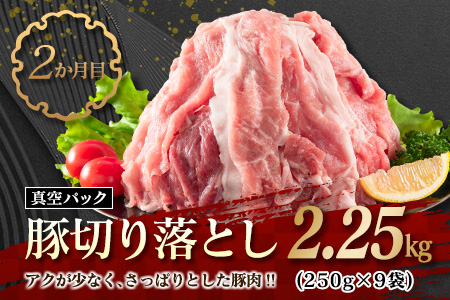 数量限定 3か月 お楽しみ 定期便 牛 豚 鶏 バラエティ セット 総重量5kg 肉 牛肉 宮崎牛 豚肉 鶏肉 国産 食品 おかず 切り落とし BBQ 送料無料_F57-21