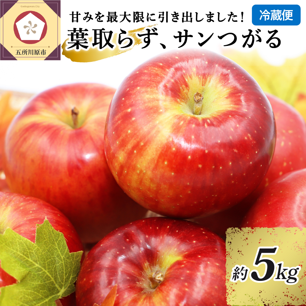 9月 りんご 5kg 葉とらず サンつがる 青森 【2025年 リンゴ 林檎 果物 クール便】