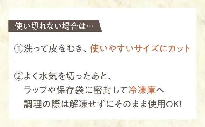 【年明け発送】【真空パック】洗いれんこん 約1.5kg ICE002-2