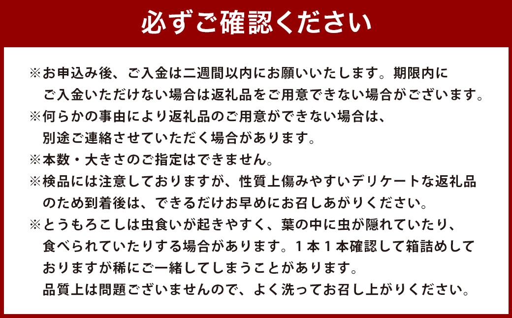 とうもろこし ゴールドラッシュ 5本～8本入 