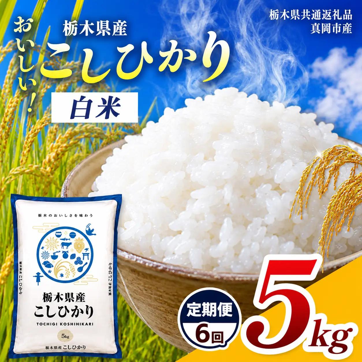 【定期便6回】令和8年度 新米 栃木県産コシヒカリ 5kg | 栃木県共通返礼品 栃木県 那珂川町