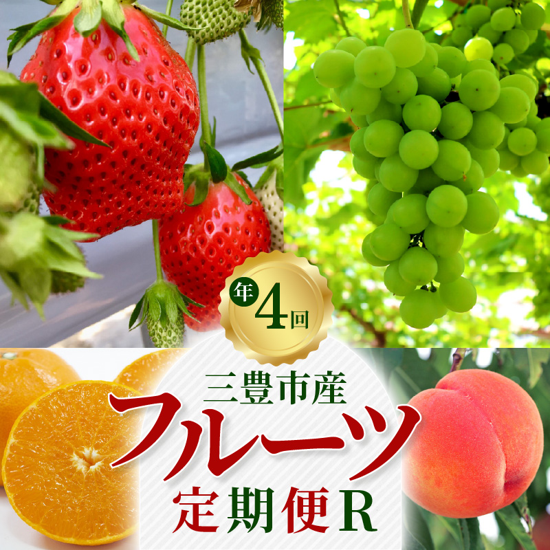 【ふるさと納税】【配送不可地域：北海道・沖縄県・離島】定期便 フルーツ R 年4回 人気 三豊市産 いちご さぬきひめ 約400g 桃 約 2kg シャインマスカット 1房 約800g 高糖度 石地みかん 約5kg 化粧箱 旬 果物 送料無料