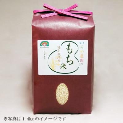 ふるさと納税 日進市 特別栽培れんげ米　日進市産もち米　5kg　[精米]