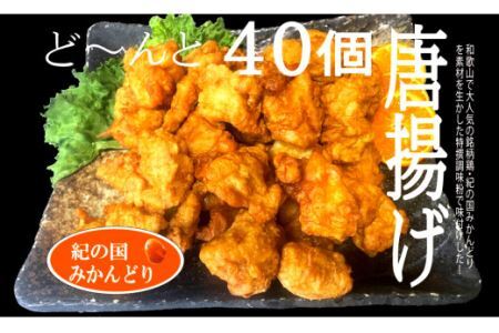 紀の国みかんどり　特選唐揚げ40個セット(B582-1)