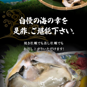 S002-019A_岩牡蠣　約3ｋg　約3人前