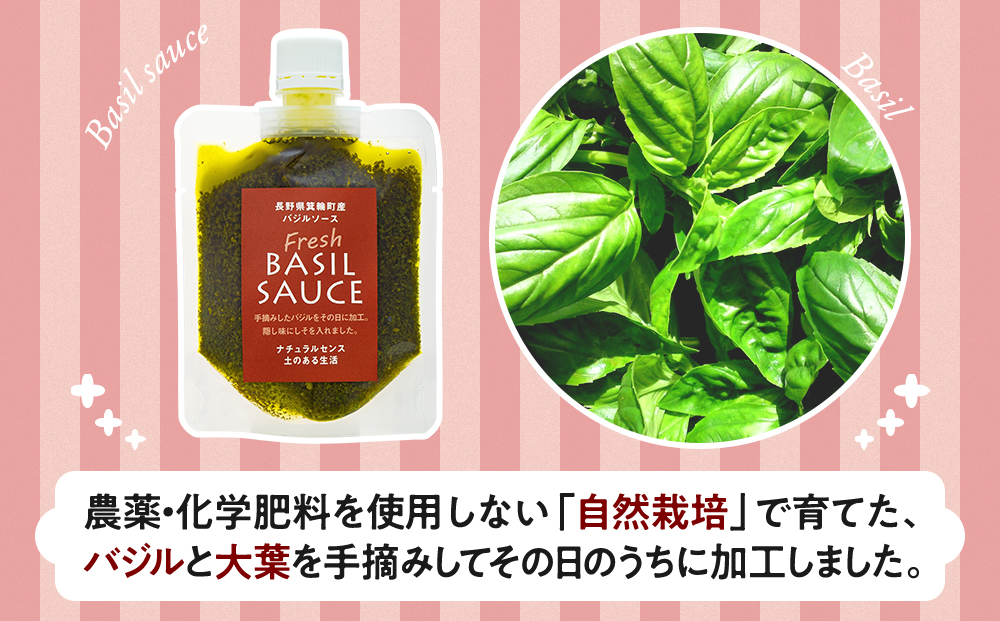 フレッシュバジルソース３個セット