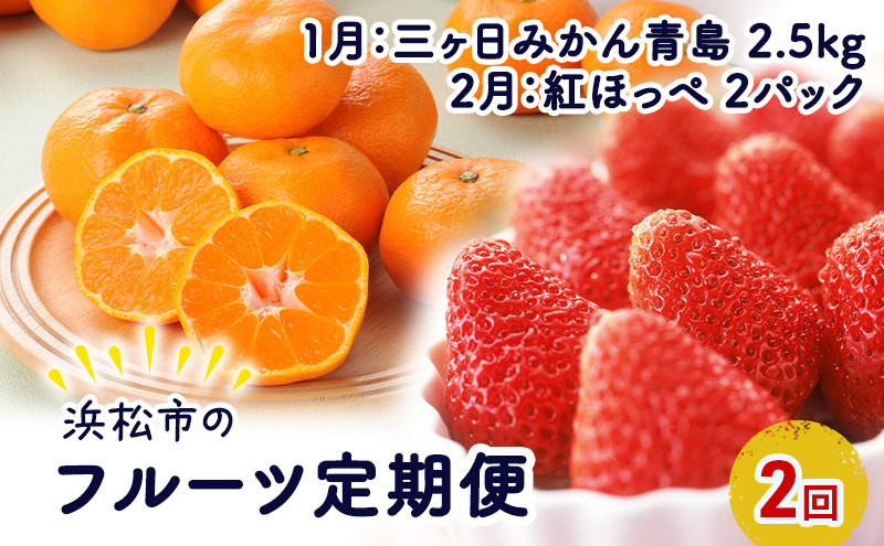 
            【2026年1月中旬より発送】 フルーツ 定期便 2ヶ月 三ヶ日みかん 紅ほっぺ フルーツ定期便 青島みかん みかん いちご 果物 旬のフルーツ 旬の果物 季節のフルーツ 静岡 静岡県 浜松市 2回 定期 【配送不可：離島】 [№5786-5790]
          