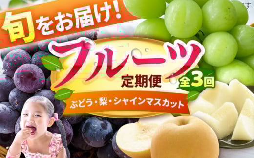 【★先行予約★　2025年7月発送開始】【3回定期便】フルーツ パート3（黒ぶどう/梨/シャインマスカット） 葡萄 なし ますかっと 果物 くだもの 大粒 果汁 冷蔵 甘い デザート 旬 食べ比べ 新鮮 広川町 / JAふくおか八女農産物直売所どろや [AFAB024]