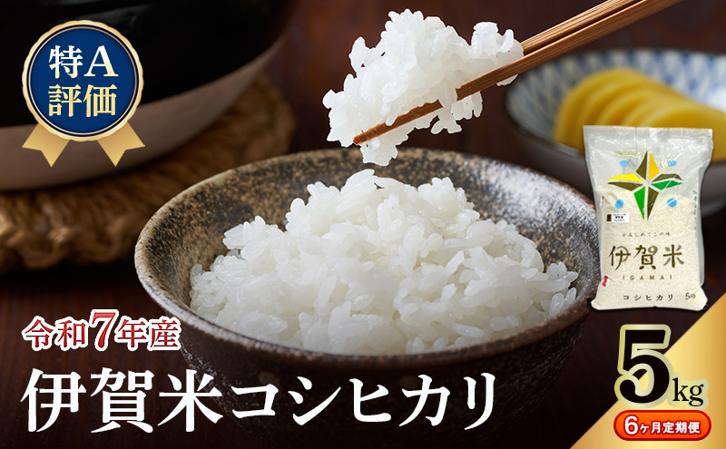 コシヒカリ 伊賀米 令和7年産 特A 定期便 6ヶ月 5kg 精米 伊賀ふるさと農業協同組合 白米 お米 米 ごはん もっちり 産地直送 農家直 三重県 名張市 新米 定期 お楽しみ 6回 銘柄米 令和 炊き立て 食感 無農薬 有機 こだわり おいしい 旨い 甘い