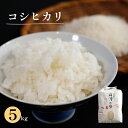 【ふるさと納税】京都産コシヒカリ5kg 米 コシヒカリ 5kg 精米 白米 こめ コメ お米 おこめ こしひかり 綾部 京都府