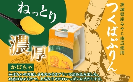 つくばぷりん かぼちゃぷりん 6個 プリン ぷりん かぼちゃ カボチャ 南瓜 牛乳 ミルク 卵 とろける スイーツ 贅沢 洋菓子 おやつ 冷菓 ご褒美 デザート 人気 グルメ お取り寄せ ギフト プレ
