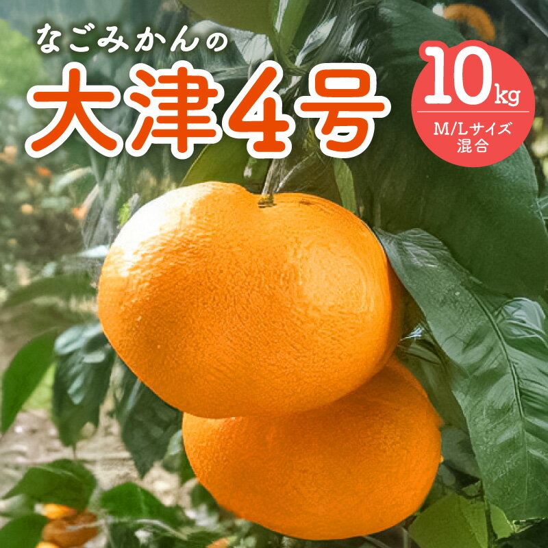 【ふるさと納税】なごみかん 大津 4号 10kg │ 数量限定 フルーツ 果物 柑橘 ミカン みかん 大津 冬 旬