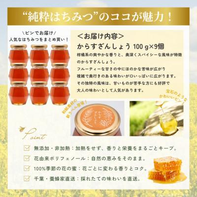 ふるさと納税 大網白里市 千葉県産「純粋はちみつ」からすざんしょう【計900g】100g×9個 |  | 03