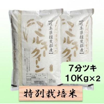 ふるさと納税 池田町 【令和7年産】特別栽培米 20kg【7分ツキ】(ミルキークイーン)