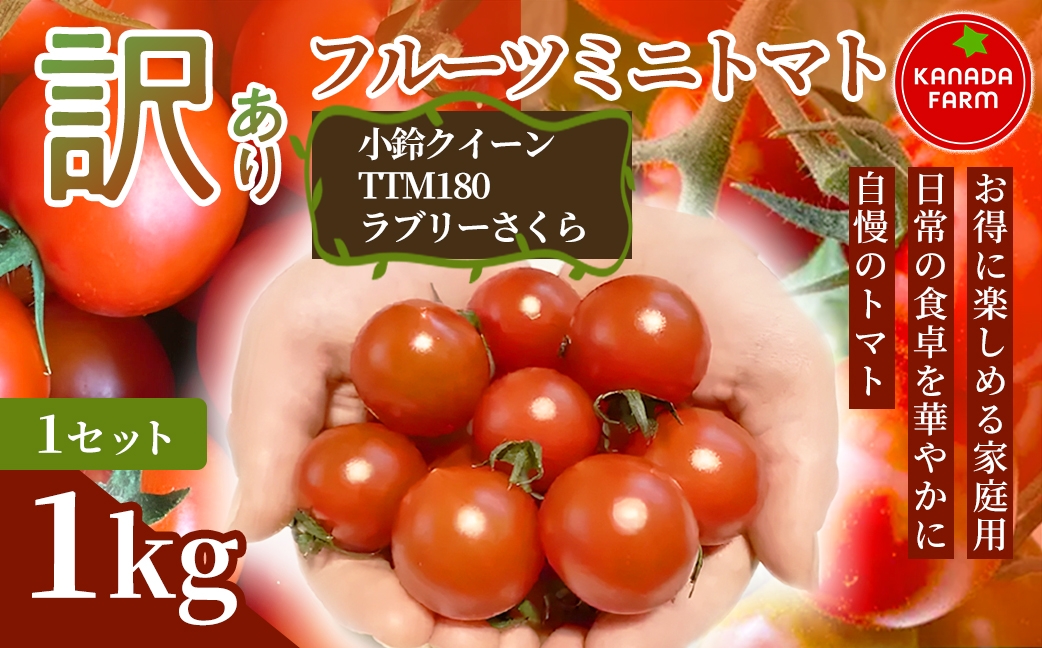 
                  《先行予約》 ミニトマト 野菜 1セット 3セット 規格外 お買い得 自宅用 たっぷり まとめ買い 大容量 【 に味わえる家庭用】 新鮮 旬 ミニトマト 野菜 ミニトマト 野菜 ミニトマト 野菜 ミニトマト 野菜 ミニトマト 野菜 ミニトマト 野菜 ミニトマト 野菜 ミニトマト 野菜 ミニトマト 食材 ミニトマト 食材 ミニトマト 豊橋 ミニトマト 豊橋 ミニトマト 食材 ミニトマト 豊橋
                