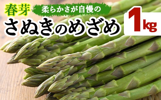 ＜先行予約！2027年3月上旬以降順次発送予定＞＜Lサイズも選べる＞春芽！アスパラガス「さぬきのめざめ」(約1kg) 【man116-A】【Aglio nero】