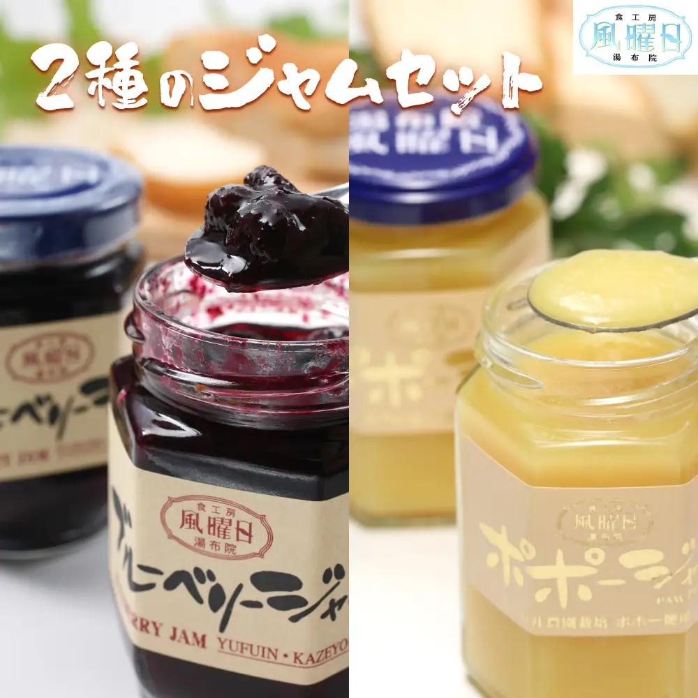 ＼年内発送／【食工房　風曜日】2種のジャムセット（ブルーベリー・ポポー）