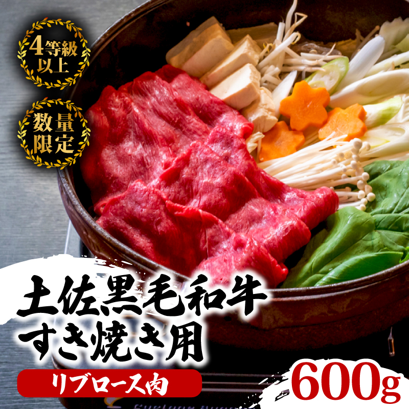 土佐 黒毛 和牛 すき焼き用 600g | 特撰 リブロース肉 最上位等級 A4 A5 最高ランク 贅沢 すきやき スキヤキ用 鍋 焼肉用 小分け 冷凍 国産 牛肉 高知県 須崎 TM007