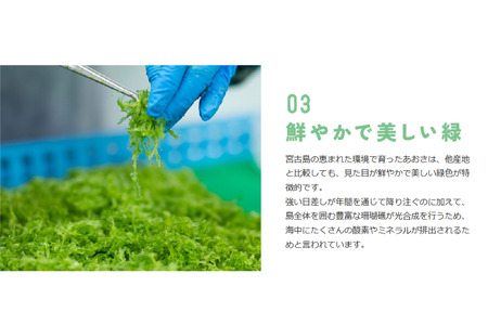 宮古島の環境だから実現できた『オーガニックあおさ』3袋セット（GF001）