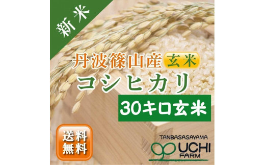 令和7年産　丹波篠山の大地で育まれたコシヒカリ　玄米30kg