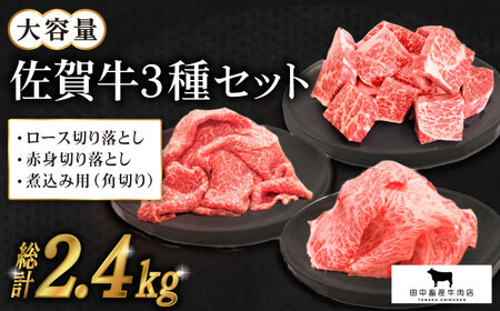 たっぷり 佐賀牛 普段使いセット [HBH032] 焼肉 佐賀牛 国産 和牛 黒毛和牛