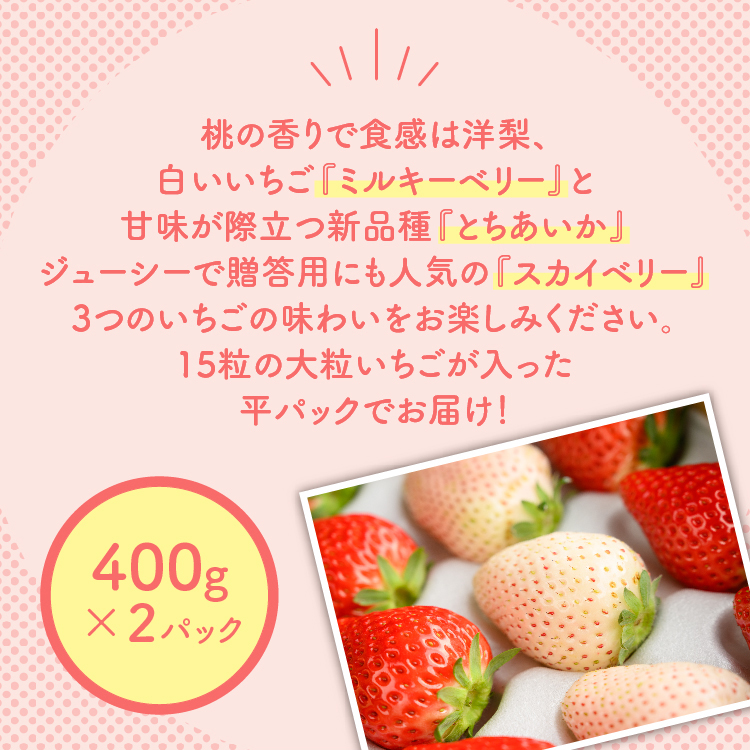 満足3種食べ比べセット（ミルキーベリー、スカイベリー、とちあいか）400g×2パック 800g｜先行予約 数量限定 いちご  ※2027年1月～発送_イメージ4