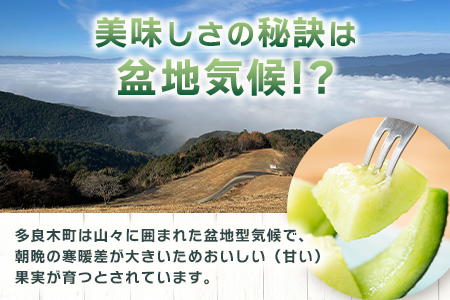 【2026年4月下旬以降発送分】 アンデスメロン 4玉～6玉（1箱5kg） 先行予約 熊本県 多良木町産 メロン 果物 フルーツ 旬 くだもの 予約受付 012-0556