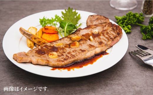 A4ランク 博多和牛 サーロインステーキ 180g×2枚 合計360g 糸島市 / 糸島ミートデリ工房 [ACA245] 牛肉 黒毛和牛 ランキング 上位 人気 おすすめ