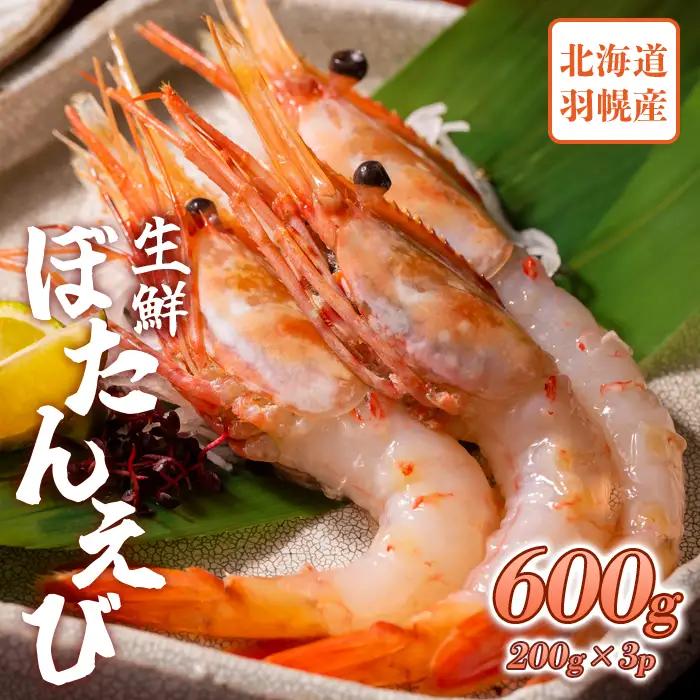 超速リキッド凍結でドリップゼロ！北海道羽幌産生鮮ぼたんえび 600g（200g×3パック）【0311802】