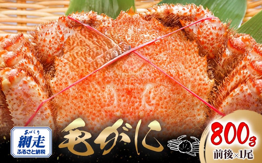 
            網走産 毛がに800g前後×1尾 【 ふるさと納税 人気 おすすめ ランキング かに カニ 蟹 毛ガニ 毛がに 毛蟹 網走産 冷凍 蟹みそ カニみそ 蟹味噌 オホーツク 北海道産 北海道 網走市 送料無料 】ABW108
          