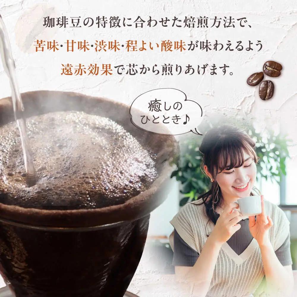 【全6回定期便】スペシャル ブレンド コーヒー 500g×2 中煎り VAS174 珈琲 コーヒー