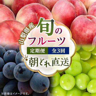 ふるさと納税 山梨市 【発送月固定定期便】フルーツ定期便 桃2kg 巨峰1kg シャイン1kg全3回