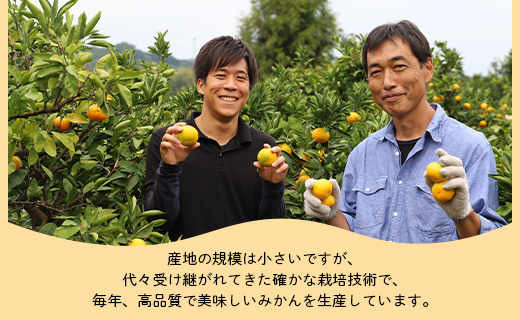 訳あり 山北みかん ご家庭用 3kg 約20～40個入り - 果物 フルーツ 柑橘類 温州みかん ミカン 蜜柑 訳アリ わけあり 生産者応援 甘い おいしい 美味しい 山北みらい 高知県 香南市 yk