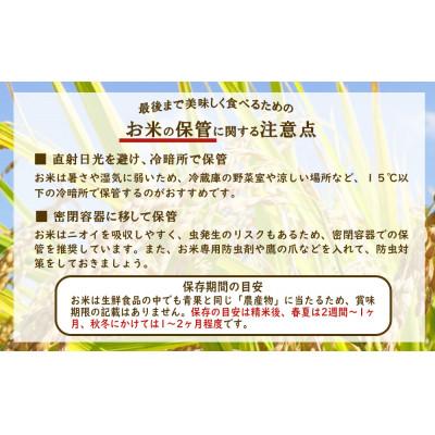 ふるさと納税 えびの市 【令和7年産】えびの産 ヒノヒカリ 5kg |  | 02