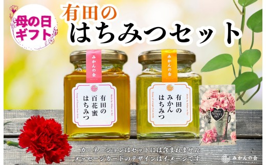 
                  【母の日ギフト】有田のはちみつセット（みかん蜂蜜210g 百花蜂蜜210g 各1本）和歌山県産 産地直送【みかんの会】
                