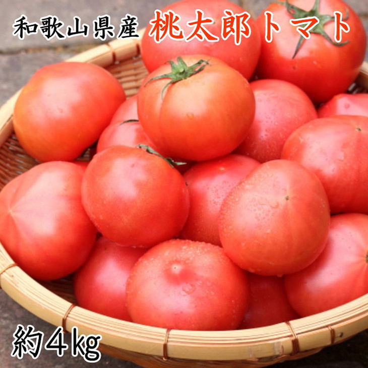【新鮮】和歌山県産桃太郎トマト約4kg（L～2Lサイズおまか