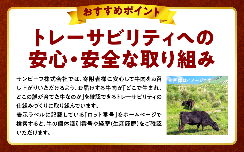 【訳あり】くまもと黒毛和牛 切り落とし 合計1kg (250g×4パック) 牛肉 肉 和牛 黒毛和牛 ブランド牛 牛丼 肉じゃが  国産 訳あり 小分け 熊本県 八代市