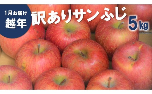 
                  AS12 りんご サンふじ 訳あり 自家用（松川町産）約5kg ／2027年1月中旬～2月上旬頃 配送予定 // 長野県 南信州 さんふじ サンフジ ふじりんご 訳あり 訳アリ 家庭用 自家用 年明け配送
                