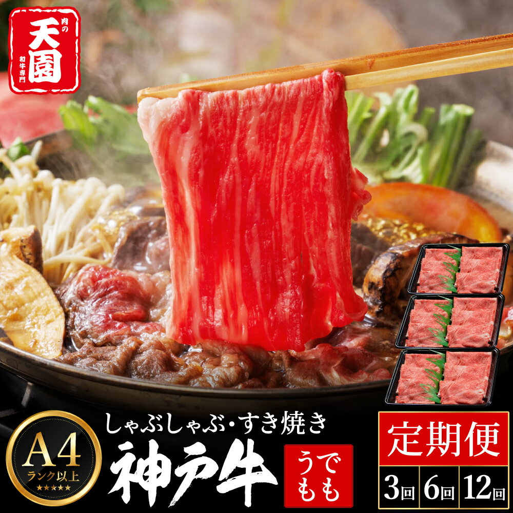 【ふるさと納税】定期便 神戸牛 赤身 モモ 内容量と発送回数が選べる しゃぶしゃぶ すき焼き 計1.8kg〜14.4kg 3回〜12回 / A4ランク以上 しゃぶしゃぶ用 すき焼き用 牛肉 スライス 赤身 ウデ モモ 小分け 薄切り うす切り 冷凍 肉の天園