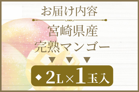 ＜先行予約 【期間数量限定】2025年5月発送 宮崎県産完熟マンゴー2L 1玉＞(1玉入・階級2L)【MI516-yk】【みまたんよかもん協同組合】