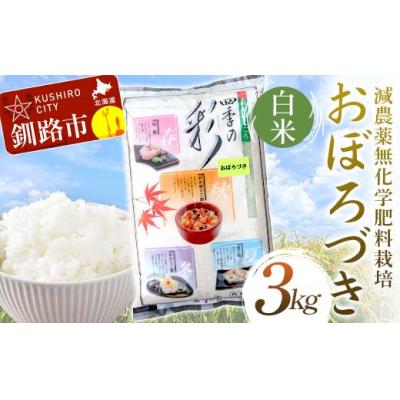 ふるさと納税 釧路市 減農薬9割減 ・ 化学肥料不使用おぼろづき 3kg 白米 北海道産 米 F5F-0094