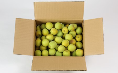 【期間限定】ひらそ農園の青梅 3kg 梅 南高梅 青梅 梅干し 梅酒 梅干 梅シロップ 梅ジャム 3キロ 数量限定 先行予約 6月 ＜004-006＞
