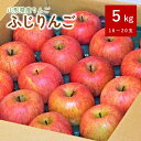 【ふるさと納税】 りんご ( ふじ ) 5kg ご家庭用 山形県 上山市 0101-2401