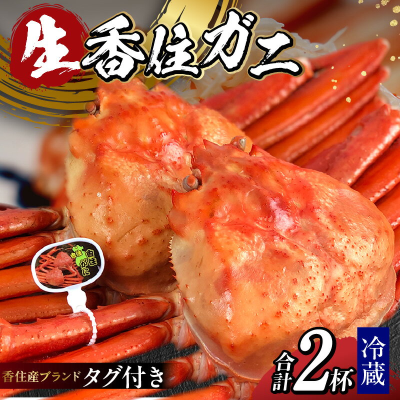 【ふるさと納税】発送前に連絡します！タグ付き香住ガニ（生） 2杯 約1.6kg（約800g×2）香住蟹 紅ズワイガニ カニ 蟹 活 カニ しゃぶしゃぶ カニ刺し かに 国産 姿 刺身 かに鍋 香住カニ 焼き蟹 生食用 着日 指定 日時 送料無料
