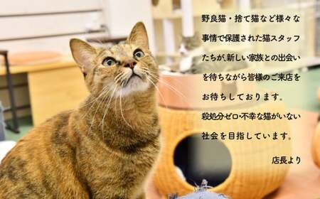 【返礼品なし】 保護 猫 支援寄附 ねこカフェ