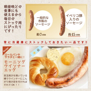 イベリコ豚入りソーセージ 2kg(500g x 4p) 小分けソーセージ  [AU101]