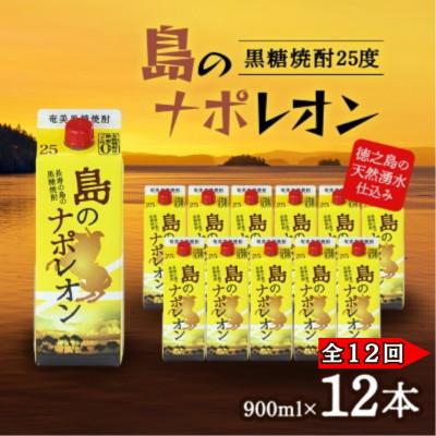 ふるさと納税 伊仙町 【毎月定期便】奄美黒糖焼酎 島のナポレオン 900ml 紙パック 12本セット全12回