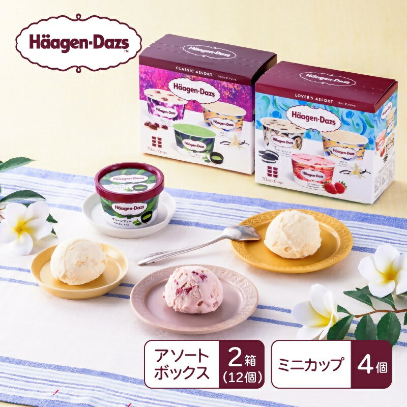 ハーゲンダッツ　マルチパックセット